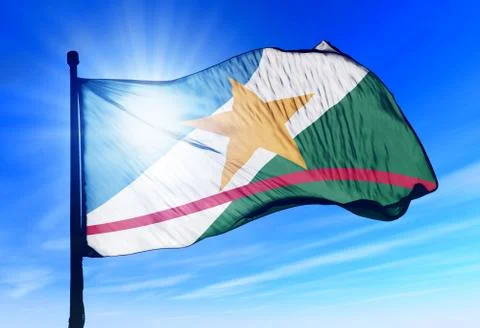 Roraima (brazil) flag waving on the wind Illustrazione stock