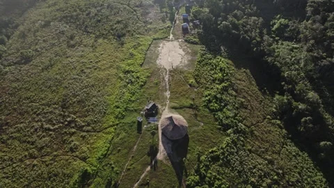 Roraima - RR - Brazil Forest Video stock 313606120