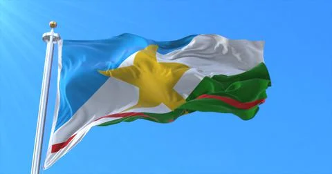 Roraima state flag, Brazil Stock Illustration