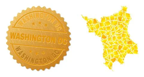 Roraima State Map Collage of Golden Parts and Textured Washington DC Seal Stamp Illustrazione stock