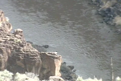 Rork15 Stock Footage 292923