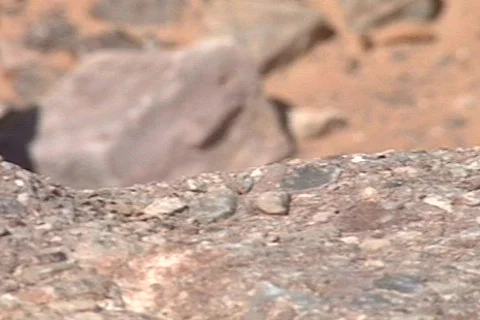 Rork6 Stock Footage 292960