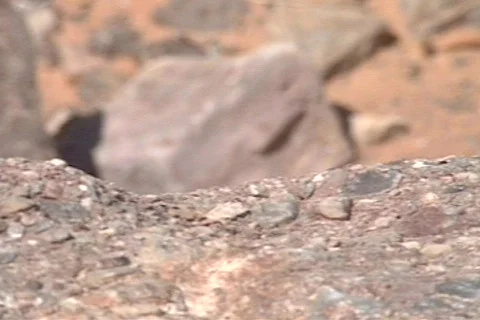 Rork7 Stock Footage 292958