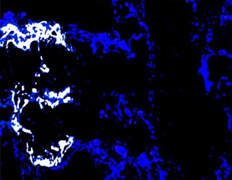 Rorschach-Face 2 Stock Illustration