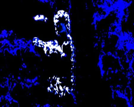 Rorschach-Face 3 Stock Illustration