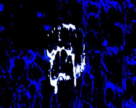 Rorschach-Face 5 Stock Illustration