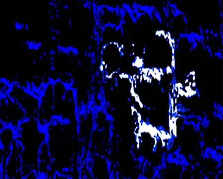 Rorschach-Face 6 Stock Illustration