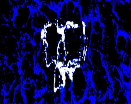 Rorschach-Face 7 Stock Illustration