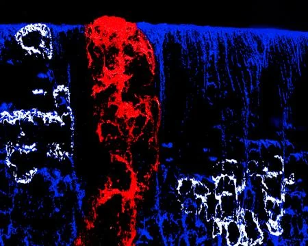 Rorschach-Final Stock Illustration