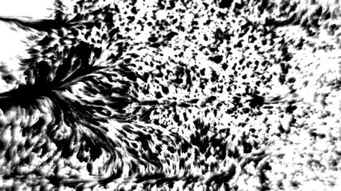 Rorschach Ink Psychological Pattern Stock Footage 85083584