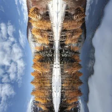 Rorschach Stock Photos