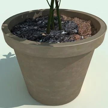 Rosa Judy Fischer 3D Model