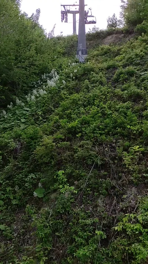 Rosa Khutor Alpine ski resort in Krasnodar Krai. Stock Footage 276432630