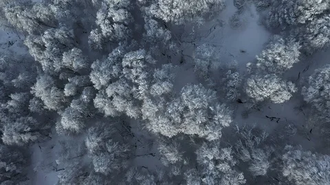 Rosa Khutor ski resort, Sochi, Krasnaya Polyana. Vidéo 101526238