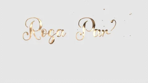 Rosa Park Day 1 Stock Footage 303217457