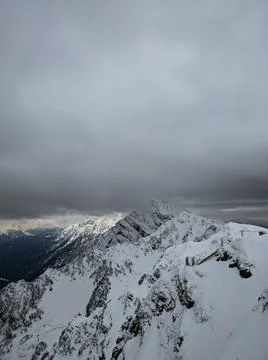 Rosa pick Stock Photos