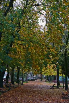 Rosalia de Castro park in Lugo in autumn Stock Photos