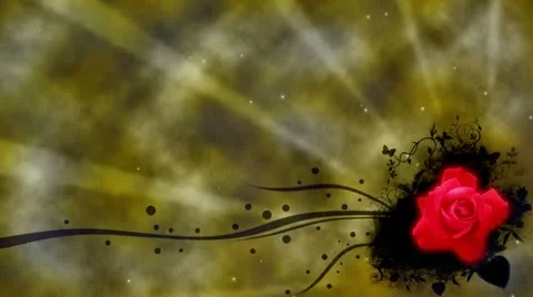 Rose-- #1 库存影片 21420683