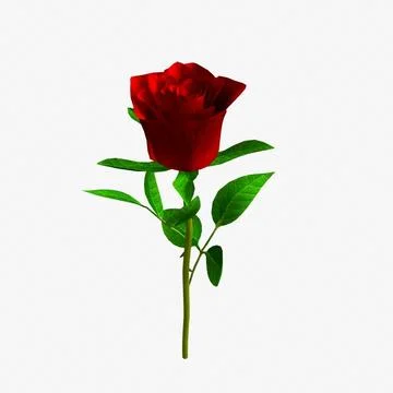 rose petal 3d ma