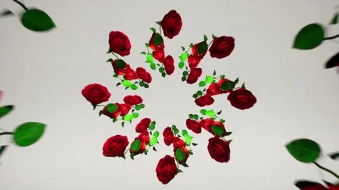 Rose 4k 3d animation wide angle rotate plants flowers valentines day holiday Stock Footage 229482477