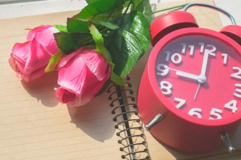 Rose, Alarm clock Stock Photos