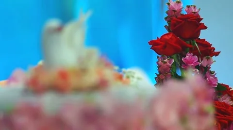 Rose and artificial bird Stock Footage 51718218