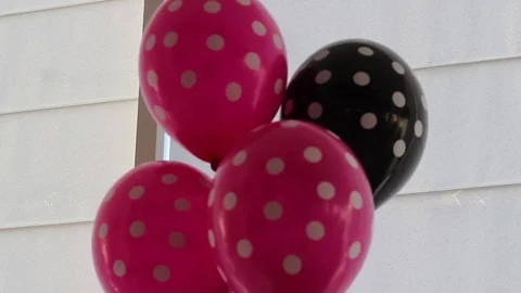 Rose and Black Balloons Stock Footage 76036784