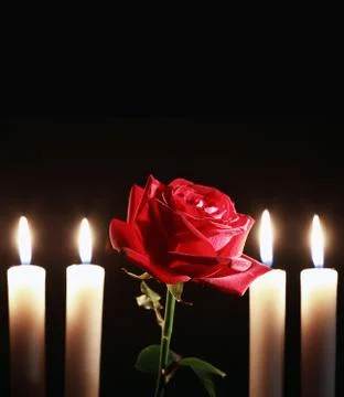 Rose and flame Stock Photos