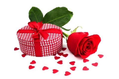 Rose and gift Stock Photos