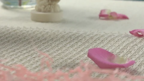 Rose and Mock Orange on Table Stock Footage 96146919