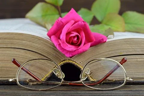 Rose and old book Stock-Fotos