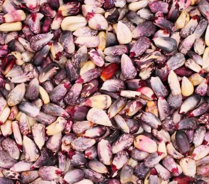 Rose and red corn kernels as Stock Photos