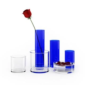 Rose and Vases Set 3D Model