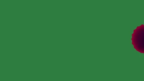 Rose Animated Isolated Green Screen Stock Video Stock Footage 338018149