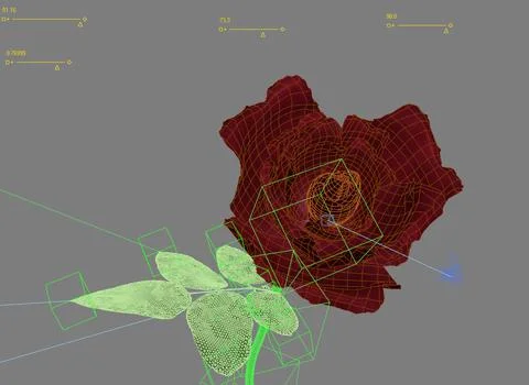 Rose for animation 3D Model