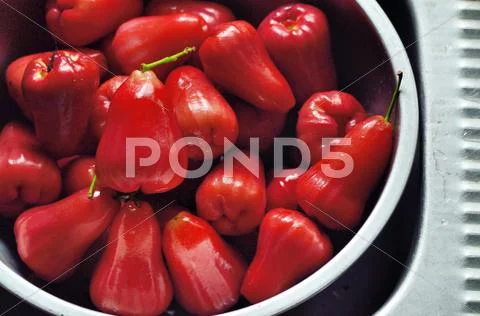 Rose apple in bowl Stock Photos