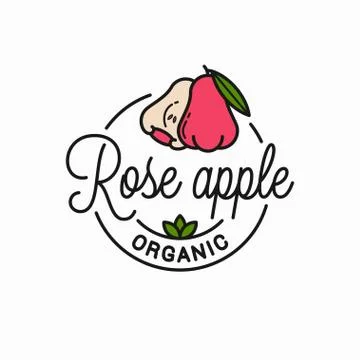 Rose apple fruit logo. Round linear apple slice Stock Illustration