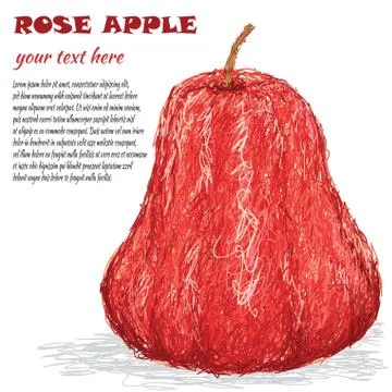 Rose apple Stock Illustration