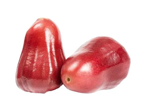 Rose apple isolated Stock Photos