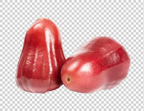 Rose apple isolated Stock Photos