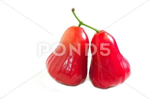 Rose apple isolted Stock Photos