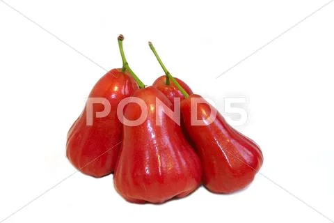 Rose apple isolted Stock Photos