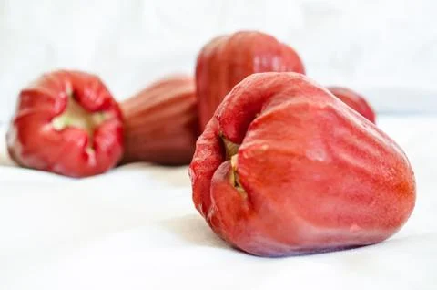 Rose apple Photos