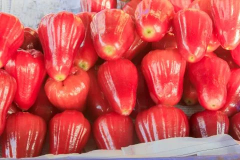 Rose apple Foto stock