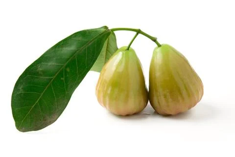 Rose apple Stock Photos