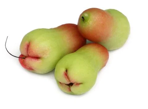 Rose Apple Stock Photos