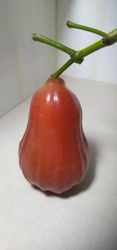 Rose apple Stock Photos