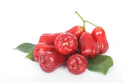 Rose apple on white background. Stock Photos