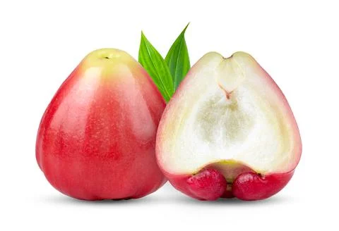 Rose apple on white background Stock Photos