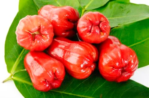 Rose apples on green leaf Stock Photos